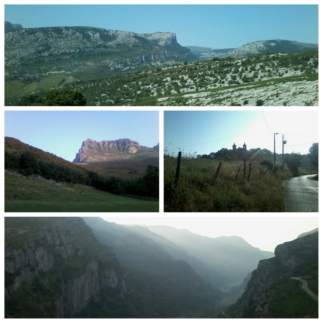collage.jpg image
