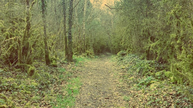 20150328_103456_20150328160147642.jpg image